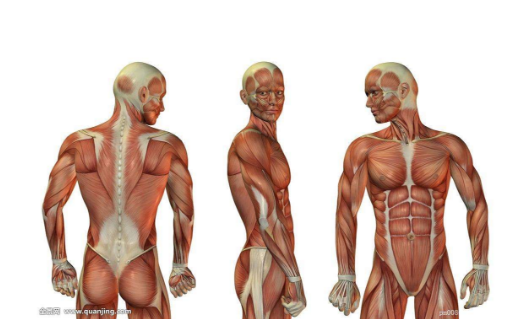 健身技巧：肌肉酸痛怎么快速恢复？图1