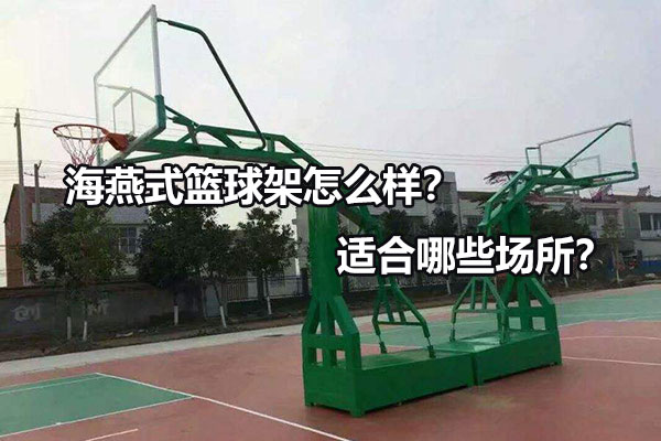 海燕式篮球架怎么样？适合哪些场所？ 图