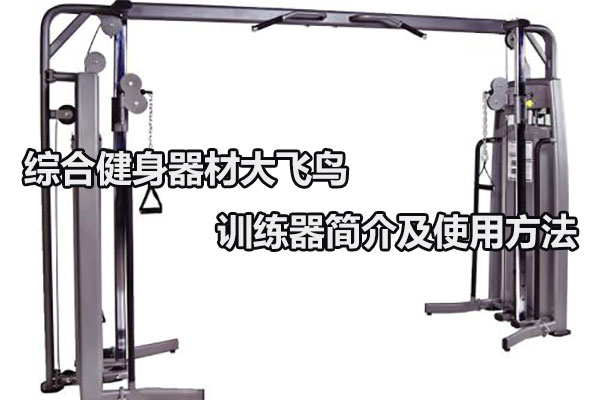 综合健身器材大飞鸟训练器简介及使用方法图1