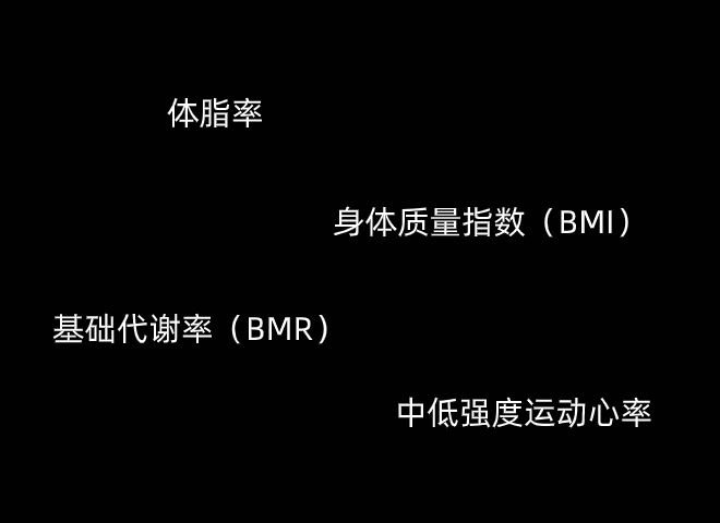 在健身期间，对身体数据的分析代表什么？