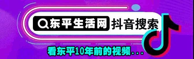 权威发布:东平常住人口多少?普查公报来了&he十二新作销量图1