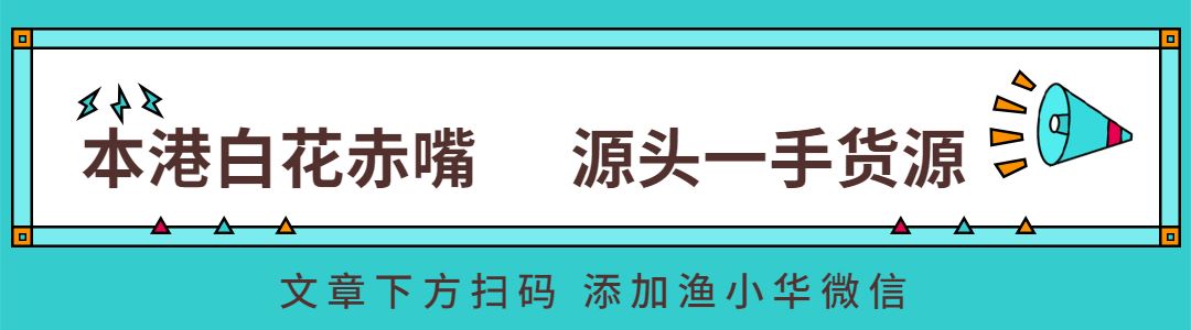 海边鱼胶批发哪个商家富商操包养的超靓模特好溪沃白花胶图1