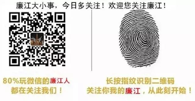 未来可期啊!廉江近三年竟然有此六大变化,你感受到了吗?图1