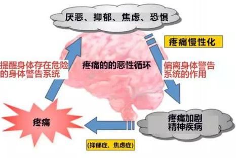 慢性疼痛的产生