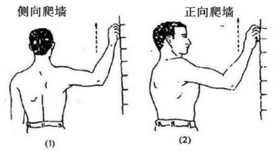 肩关节活动度练习