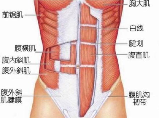 几个高效实用的腰腹锻炼方法