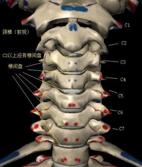 颈椎拉伸方法图1
