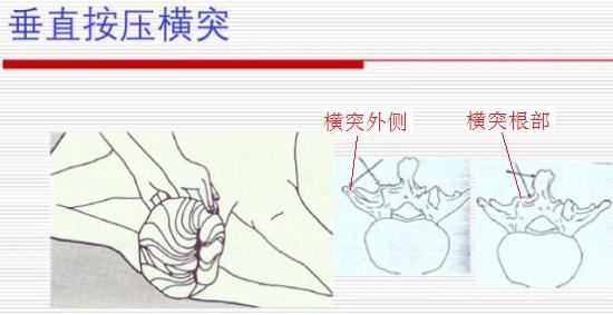 按压横突