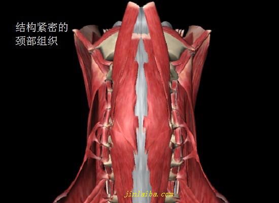 颈椎病患者的枕头多高才合适？(s是什么意思)