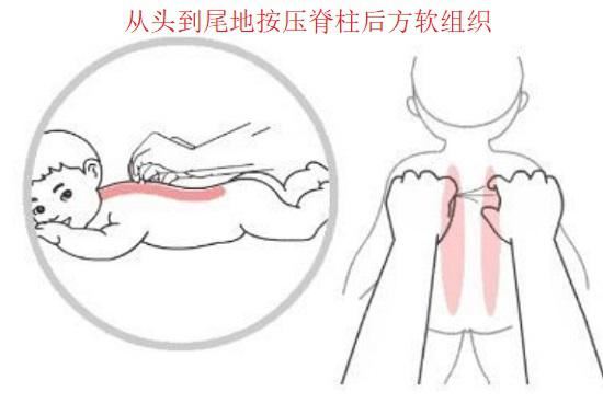 脊柱后方软组织的按压