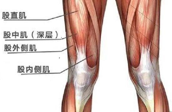 几个有助于膝关节健康的锻炼方法(柳真 朴龙河)图1