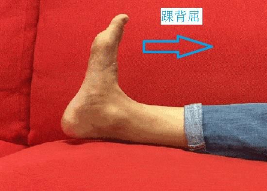踝背屈 踝背屈