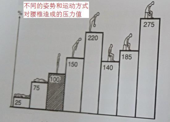 不同姿势和运动方式对腰椎造成的压力值