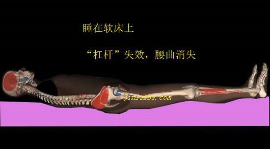 仰卧在软床时的腰曲变化 仰卧在软床时的腰曲变化