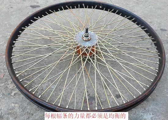 自行车轮及轮子上的辐条