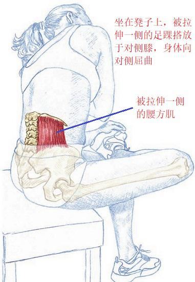 拉伸腰方肌