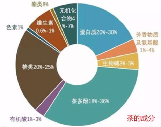 茶的主要成分