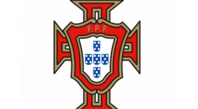 葡萄牙球队被称为什么(葡萄牙球队被称为什么球队)