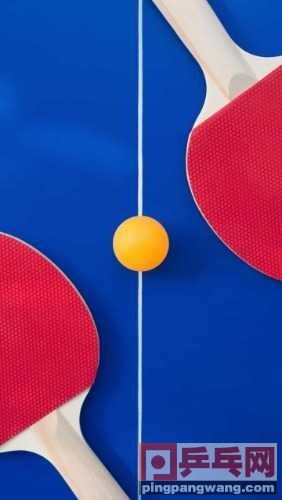 乒乓球五大要素(乒乓球五大要素的重要性)图1