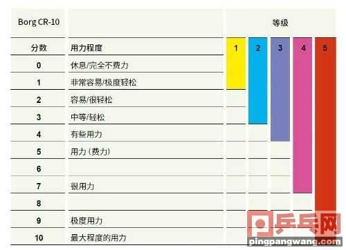 世卫组织给“恢复锻炼”划了5步(世卫组织认定的最好锻炼图1