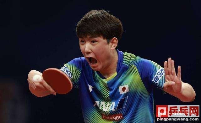 张本智和缺席！19岁日乒3-0大胜削球名将，马琳克星0-3惨