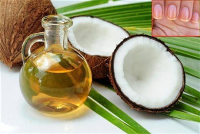 椰子油有什么妙用(椰子油有什么作用?)图1