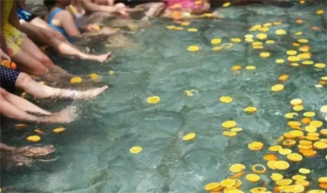 为什么说橙子全身都是宝