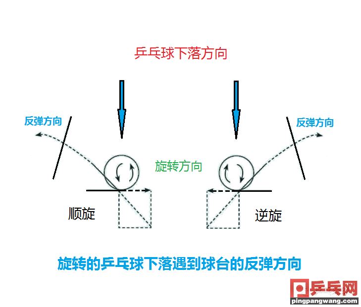 乒乓球之旋转(乒乓球旋转球的接法图解) 图