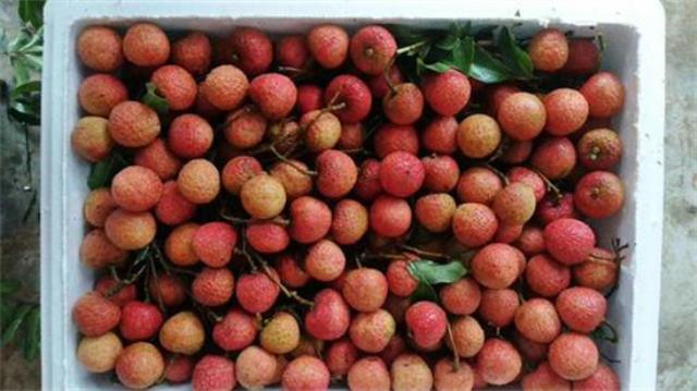 梧州有哪些特色水果 广西梧州的特产