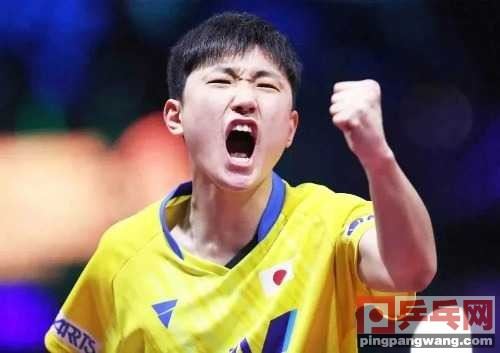 张本智和第一！日本更新奥运积分榜，伊藤美诚、石川佳纯图1