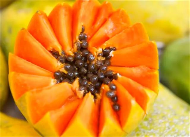 儋州有哪些特色水果 儋州的特产