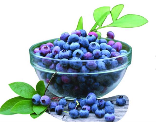 蓝莓的好处以及食用的禁忌 