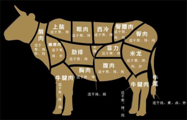 巴西牛肚允许进口到中国吗 可以向中国进口牛肉的国家