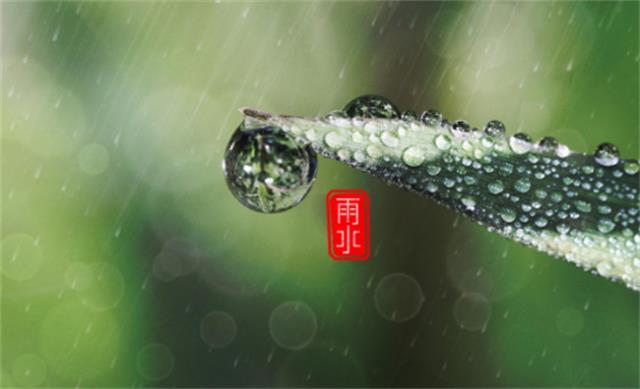 雨水节气是什么时候 吃什么食物可以养生图1