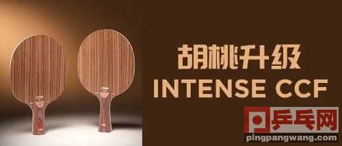 新品丨胡桃升级Intense CCF 图