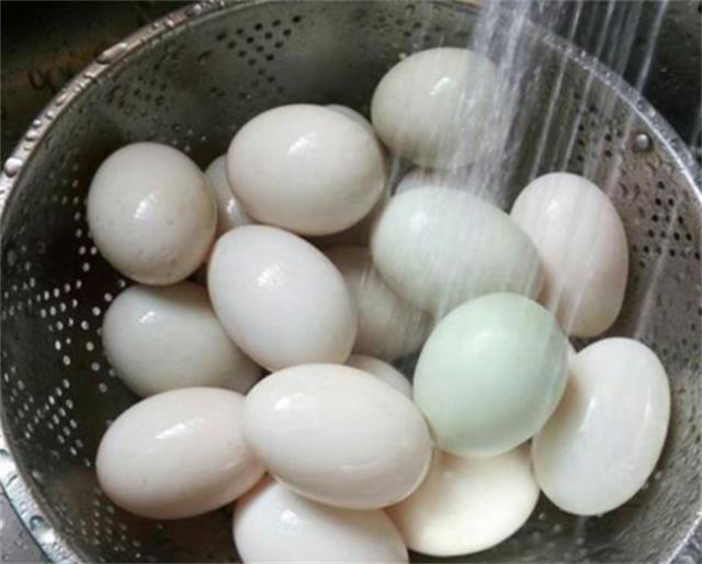 咸蛋为何多用鸭蛋去制作呢？