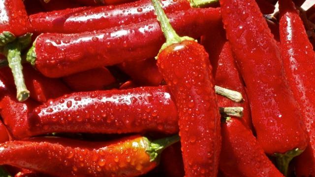 辣椒真的富含丰富的维生素吗 吃辣椒有什么好处