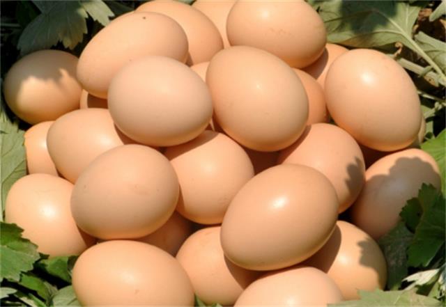 ​鸡蛋可以多吃吗 真的会有胆固醇的影响吗图1