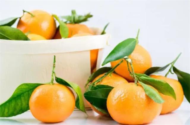 柑橘类水果的三大优点 