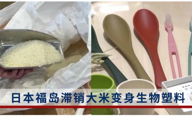 ​福岛滞销大米被制成餐具 放射性物质超标吗？