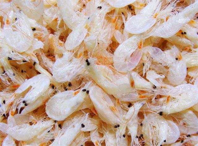 吃虾皮最能补钙竟是个误区吗