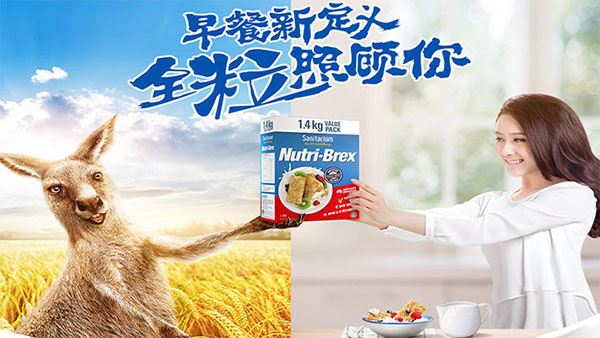 欣善怡Nutri-Brex麦片，get明星同款减肥早餐 图